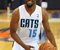 The Charlotte Bobcats (@bobcats) New Look via @GetLiftedMedia