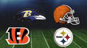 2012 AFC North Preview And Predictions