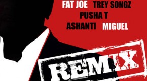 Fat Joe – Pride N Joy (Remix) Ft. Trey Songz, Pusha T, Ashanti x Miguel