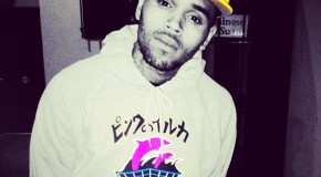 Chris Brown – Nobody's Perfect