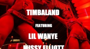 Timbaland – The Party Anthem Ft Lil Wayne, Missy Elliott & T-Pain