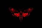Lil Wayne – Rich As Fuck Ft. 2 Chainz (Prod by T-Minus)