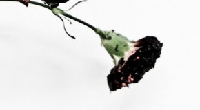 John Legend – The Beginning