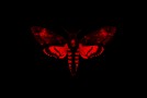 Lil Wayne (@LiLTunechi) – Shit Stains (Prod. by @THEREALBANNER)