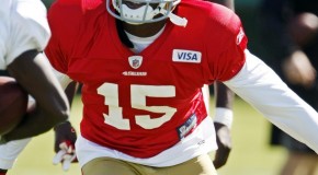 49ers Star Michael Crabtree Suffers Torn Achillies Tendon & Could Miss The 2013 NFL Season