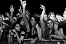 What Fans Are Looking For Vs. What The Business Needs