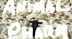 Lupe Fiasco – Animal Pharm
