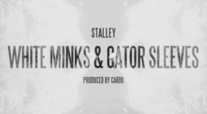 Stalley (@Stalley) – White Minks & Gator Sleeves (Prod. by @Cardogotwings)