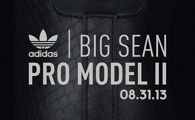 big-sean-adidas-pro-model-ii-83113-photos.jpeg