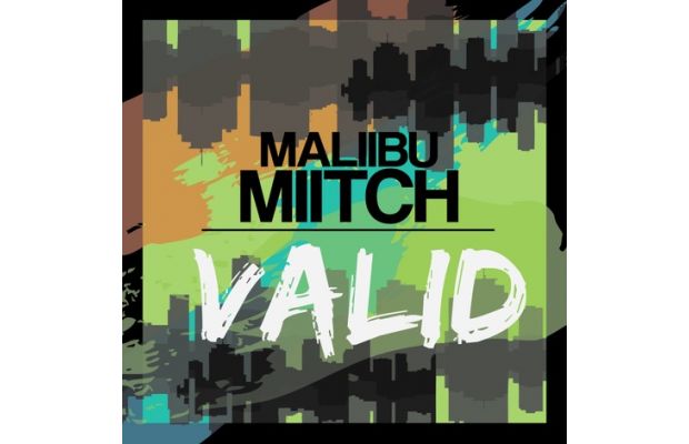 maliibu-miitch-valid-HHS1987-2013 Maliibu Miitch (@MaliibuMiitch) - Valid  