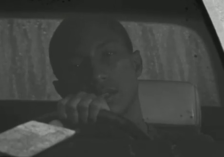 Pharrell Williams & Dania Ramirez Star in Ecology of Love Short Film (Video)
