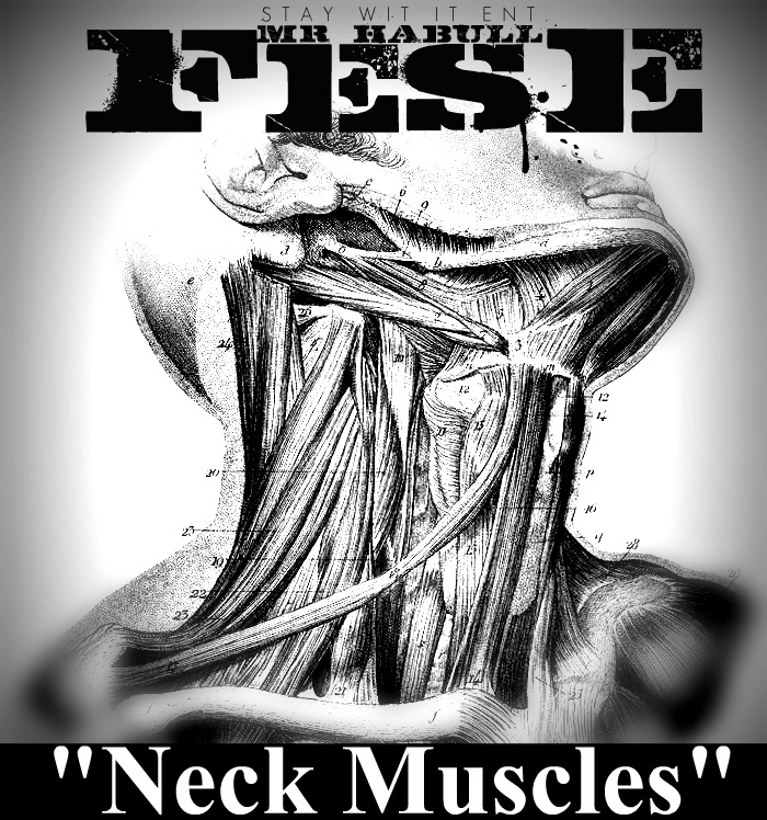 Fese (@Mrhabull) – Neck Muscles (Prod. by Custom)