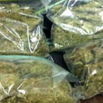 Over 3 Pounds of Pot Found in Car in Delaware 12/10/11