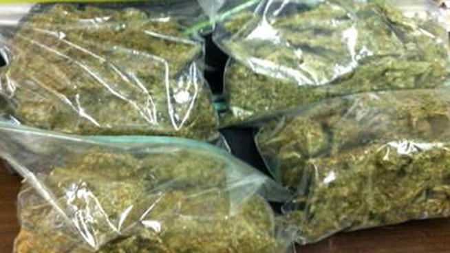 Over 3 Pounds of Pot Found in Car in Delaware 12/10/11