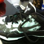 Nike Zoom Kobe “POISON DART FROG”