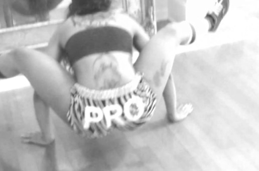 Twerk Team (@MizzTwerkSum @TTLadyLuscious) – #ProTwerkers Edition @Kstylis Ft. @TwerkTeam