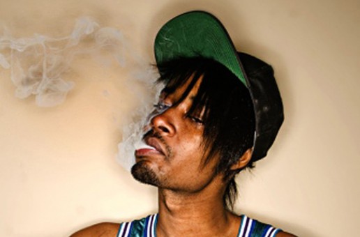 Danny Brown vs. The People (via @HHRFD)