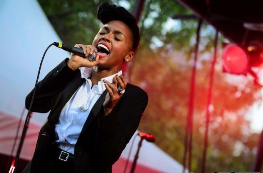 2012 Afropunk Festival Ft. Janelle Monaé, Pharrell, Mos Def, Erykah Badu and more (Photos by Darren Burton)