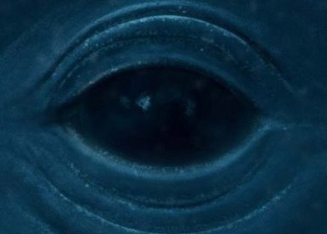 Frank Ocean – Blue Whale