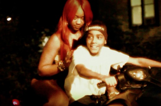 Lil Mouse (@MOUSEMYERS) – D. Wade (Official Video) (Dir by @PNOBLETV)