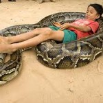 Wow! Boy Sleeps with Giant Python