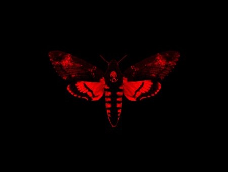 Lil Wayne – I Am Not A Human Being II (Mixtape Artwork)