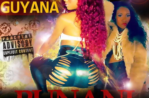 Guyana x Lee Mazin – Punani (Remix)