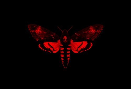 Lil Wayne – Rich As Fuck Ft. 2 Chainz (Prod by T-Minus)
