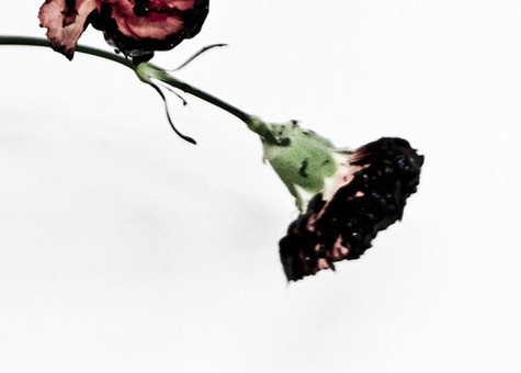 John Legend – The Beginning
