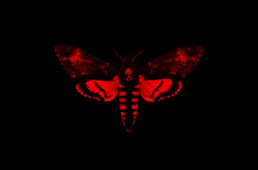 Lil Wayne (@LiLTunechi) – Shit Stains (Prod. by @THEREALBANNER)