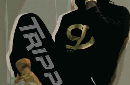 Wa King (Same DNA) – Trippy