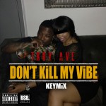 Troy Ave – Bitch Don’t Kill My Vibe (Keymix)