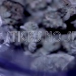 Gillie Da Kid – No Sticks No Seeds (Official Video)