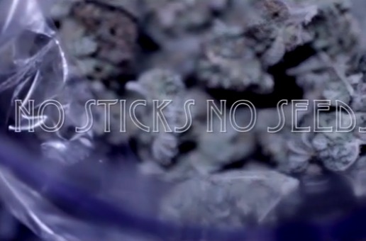 Gillie Da Kid – No Sticks No Seeds (Official Video)