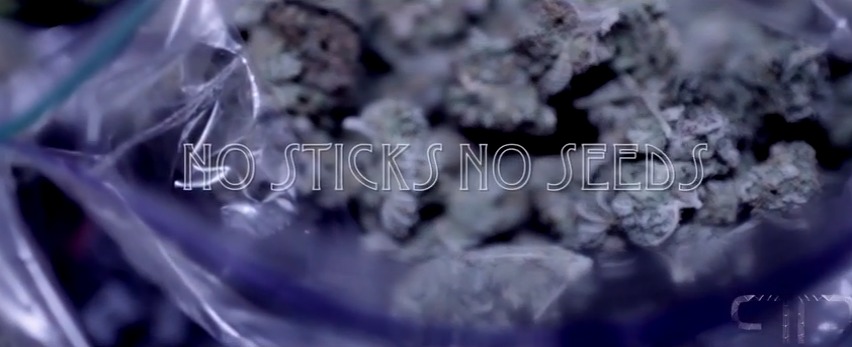 gillie-da-kid-sticks-seeds-official-video-HHS1987-2013 Gillie Da Kid - No Sticks No Seeds (Official Video)  