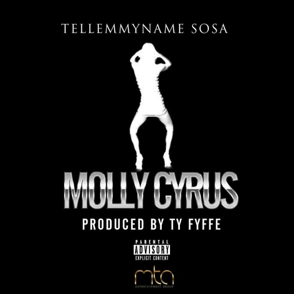 tellemmyname-sosa-molly-cyrus-HHS1987-2013 Tellemmyname Sosa – Molly Cyrus  