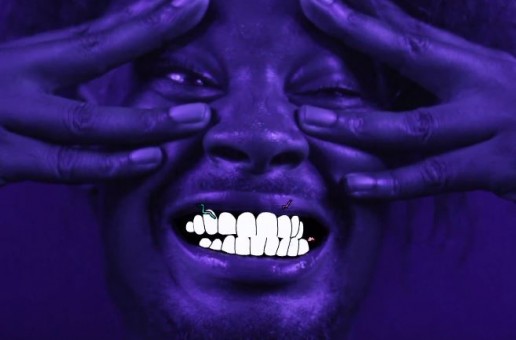 Danny Brown – DIP (Video)