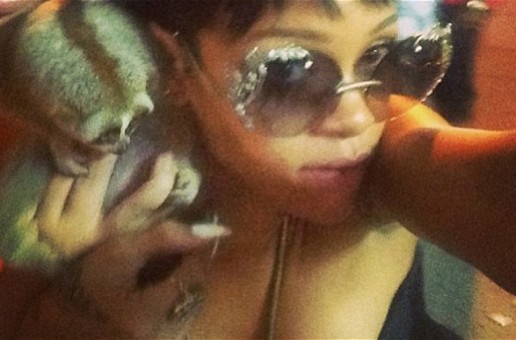 Rihanna’s Instagram Accidentally Causes Two Animal Handlers To Be Arrested