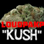 Loudpak P – Kush