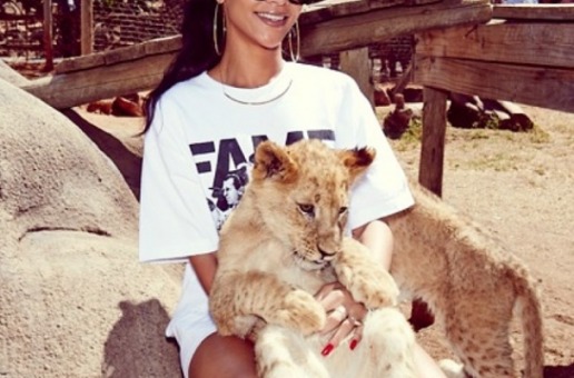 Rihanna – What Now (Reflex Remix)