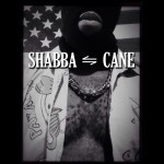 Cane – Shabba Ranks (Remix)