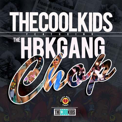 artworks-000067832832-fycd18-t500x500 The Cool Kids - Computer School / Chop Ft.The HBK Gang  