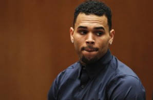 Chris Brown Sued After Basketball Court Fight