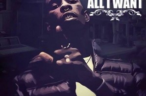 Young Thug – All I Want
