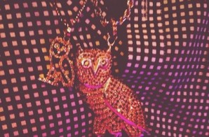Drake Reacts To OVO Owl Pendant Lawsuit Issued By Michael Raphael