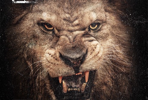 50 Cent – Hold On