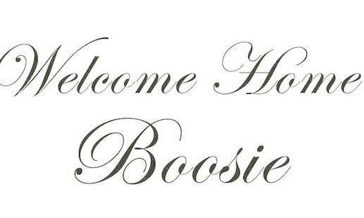 Plies – Welcome Home Boosie