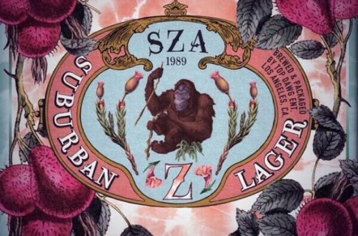 SZA Unveils Album Cover For <em>Z</em>