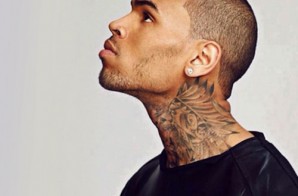 Chris Brown Facing At Least One Month In Jail