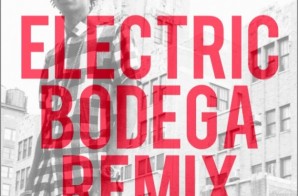 Wiz Khalifa – We Dem Boyz (Electric Bodega Trap Remix)